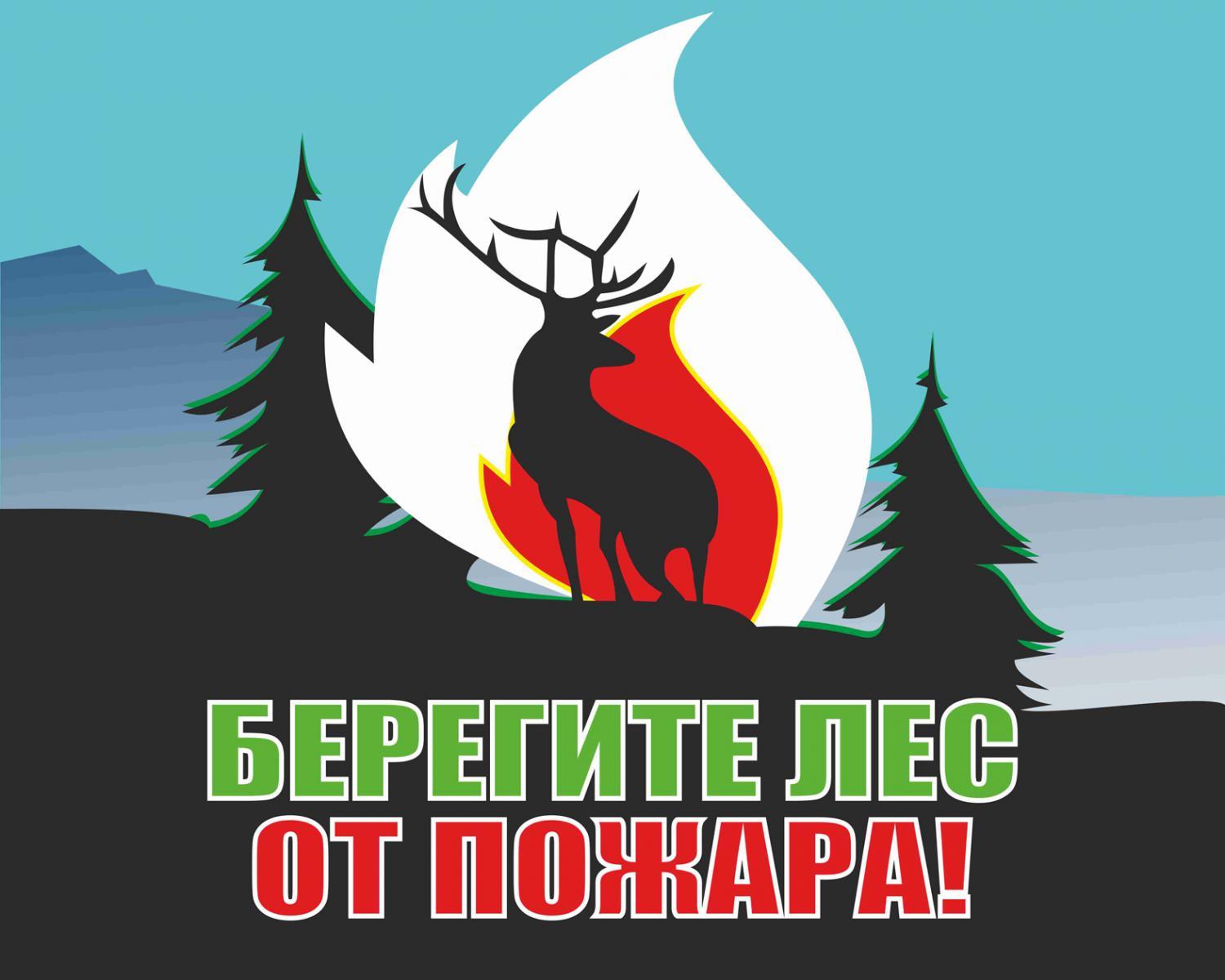 Государственное бюджетное дошкольное образовательное учреждение детский сад  №109 Невского района Санкт-Петербурга - Пожарная безопасность в лесу