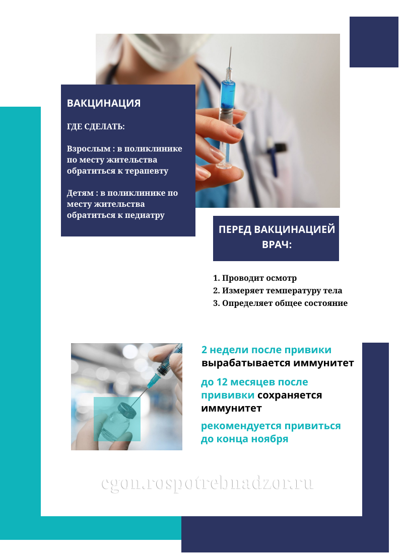 image gallery копия 2